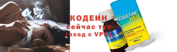 дживик Липки