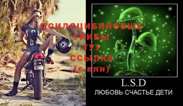 дживик Липки