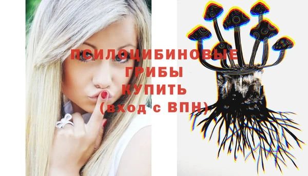 гидропоника Лиски