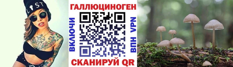 Галлюциногенные грибы мицелий  Купить закладки  Котовск 