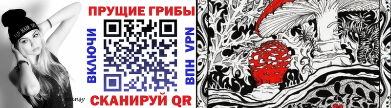 Галлюциногенные грибы GOLDEN TEACHER Котовск